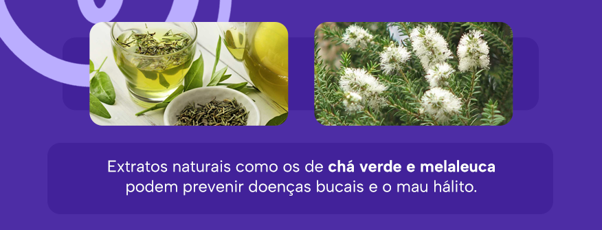 Extratos naturais como os de chá verde e melaleuca podem prevenir doenças bucais e o mau hálito.