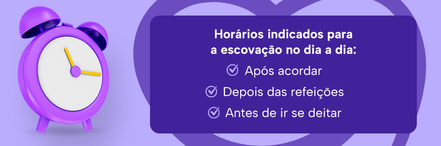 Horários indicados para a escovação no dia a dia:

Após acordar
Depois das refeições
Antes de ir se deitar